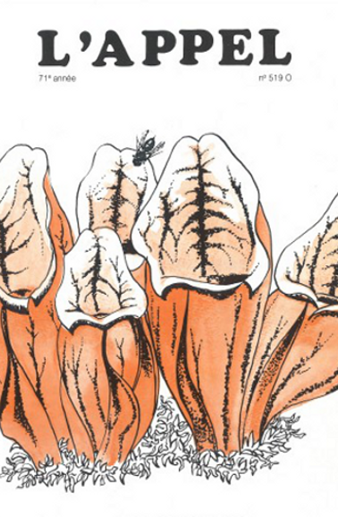 Plantes carnivores…